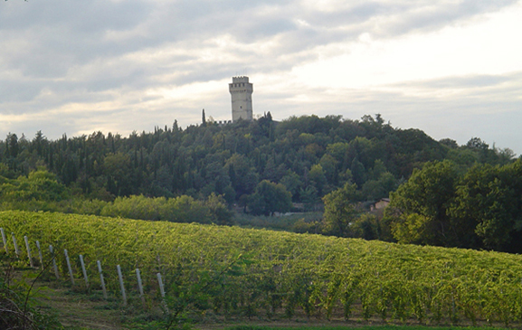 Podere Bagnolo