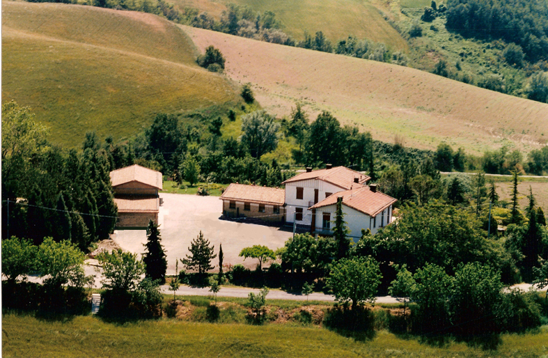 Cantina Casa Mora